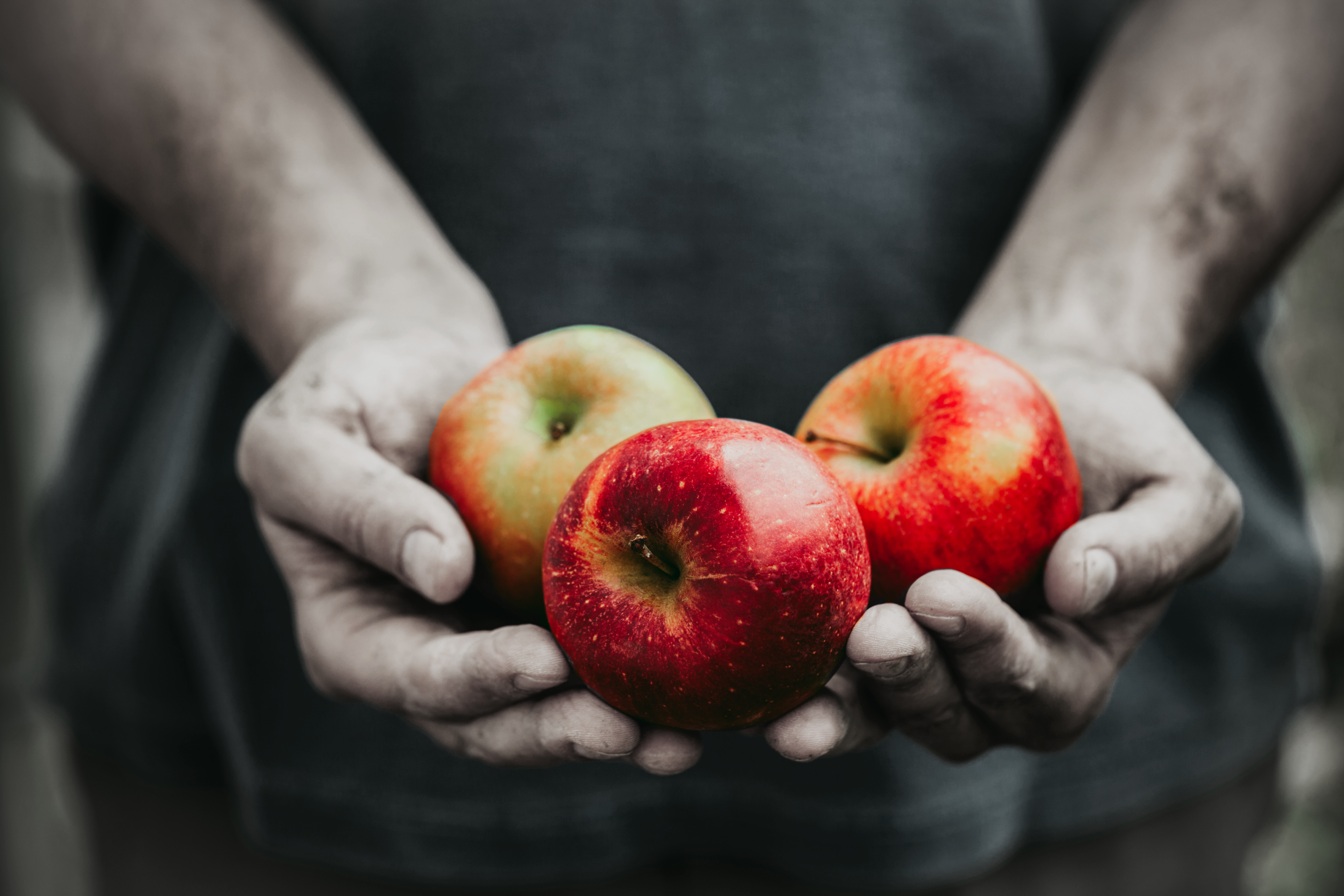 design Project Image